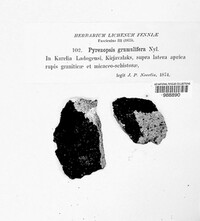 Image Associated With the Occurence